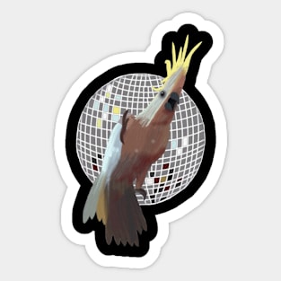 Snowball Dancing Cockatoo Sticker